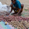 Zdjęcie ze Sri Lanki - 
