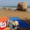 Zdjęcie z Włoch - Gargano - San Menaio