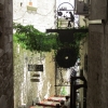 Zdjęcie z Włoch - Gargano- Vieste