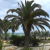 Zdjęcie z Włoch - San Benedetto del Tronto