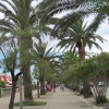 Zdjęcie z Włoch - San Benedetto del Tronto