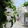 Zdjęcie z Włoch - Alberobello