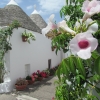 Zdjęcie z Włoch - Alberobello