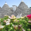 Zdjęcie z Włoch - Alberobello