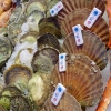 Zdjęcie z Norwegii - Fisketorget