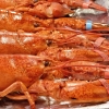 Zdjęcie z Norwegii - na Fisketorget