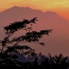 Zdjęcie z Indonezji - Wracamy do Ubud