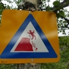 Zdjęcie z Norwegii - a są tu znaki ku przestrodze.....