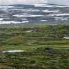 Zdjęcie z Norwegii - Płaskowyż Hardangervidda