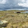 Zdjęcie z Norwegii - Hardangervidda
