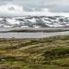 Zdjęcie z Norwegii - Hardangervidda