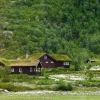 Zdjęcie z Norwegii - zjeżdżamy niżej; pojawia się zieloność:)