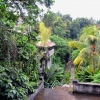 Zdjęcie z Indonezji - Ubud