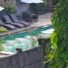 Zdjęcie z Indonezji - Jeden z hotelowych basenow i malpka na dokladke :)