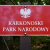 Zdjęcie z Polski - co by nie było.... :)