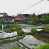 Zdjęcie z Indonezji - Przedmiescia Ubud