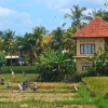 Przedmiescia Ubud