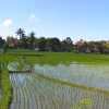 Zdjęcie z Indonezji - Przedmiescia Ubud