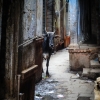 Zdjęcie z Indii - Varanasi