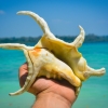 Indie - Andamany Havelock Island