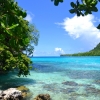 Zdjęcie z Vanuatu - Champagne Bay