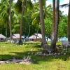 Zdjęcie z Vanuatu - Vanuacka wies