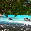 Zdjęcie z Vanuatu - Czasem dobrze uciec do cienia :)