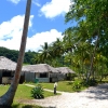 Zdjęcie z Vanuatu - Wiejskie klimaty