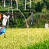 Zdjęcie z Indonezji - Wycieczka rowerowa Kintamani - Ubud