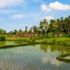 Zdjęcie z Indonezji - Na obrzezach Ubud