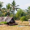 Zdjęcie z Indonezji - Rolnik przy pracy