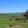 Zdjęcie z Australii - Okolice Adelajdy