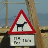 Zdjęcie z Cypru - z serii :nietypowe znaki drogowe :)