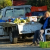 Zdjęcie z Cypru - lokalny "zieleniak"