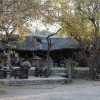 Zdjęcie z Namibii - Roy`s Camp