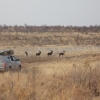 Zdjęcie z Namibii - Khaudum NP