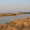 Zdjęcie z Namibii - 