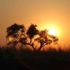 Zdjęcie z Namibii - 