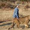 Zdjęcie z Namibii - Victoria Falls Lion encounter