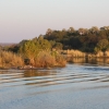 Zdjęcie z Namibii - Rejs po Zambezi