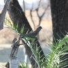 Zdjęcie z Namibii - w drodze do Hwange NP