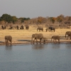 Zdjęcie z Namibii - Hwange NP