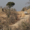 Zdjęcie z Namibii - Hwange NP
