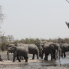 Zdjęcie z Namibii - Hwange NP