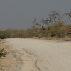 Zdjęcie z Namibii - 