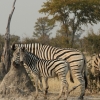 Zdjęcie z Namibii - 