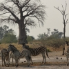 Zdjęcie z Namibii - 