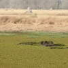 Zdjęcie z Namibii - Hwange NP