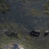 Zdjęcie z Namibii - Botswana