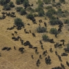 Zdjęcie z Namibii - Botswana